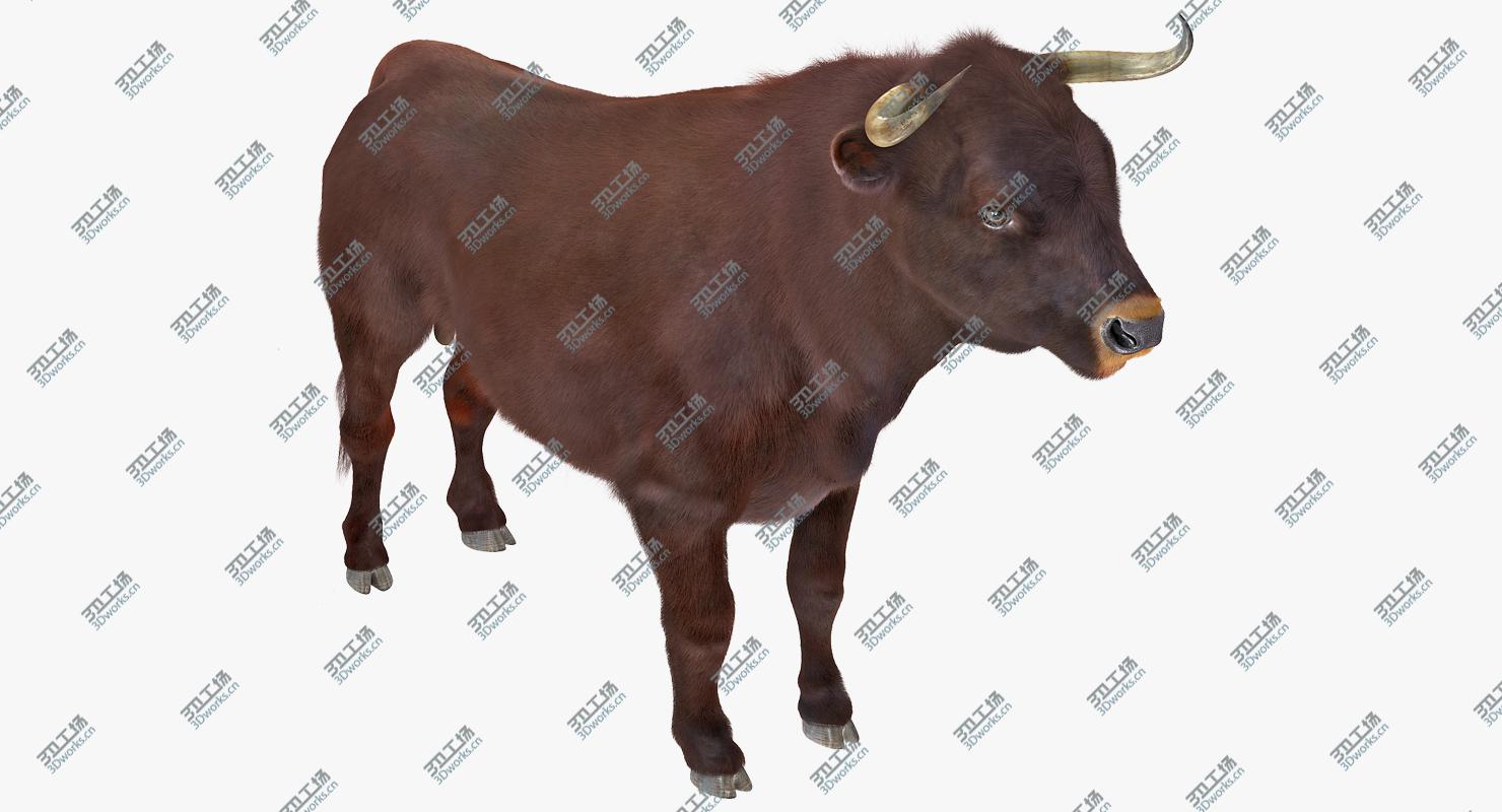 images/goods_img/202104094/3D Bull Rigged with Fur/2.jpg